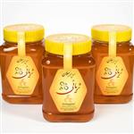 عسل چندگیاه طبیعی ثریائی سبلان (تغذیه نشده) (1000 گرمی)