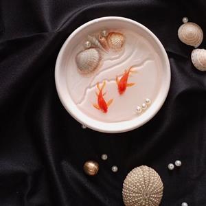 حوضچه ماهی رزینی