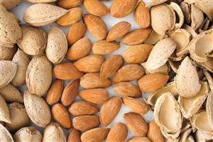 مغز بادام سنگی با کیفیت شاداب 