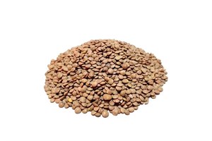 عدس ریز (500 گرم) زرجیل