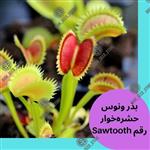 بذر گیاه ونوس حشره خوار دندان اره ای رقم (Sawtooth) 