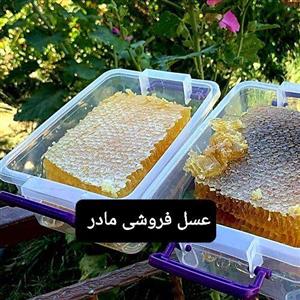 عسل طبیعی نمدار باموم(عسل مادر 