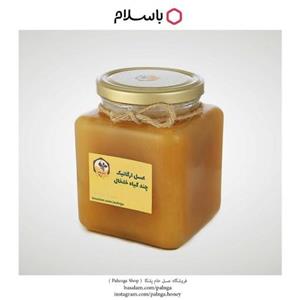 عسل رس بسته چند گیاه ارگانیک دیابتی کوهستان خلخال 1 کیلو
