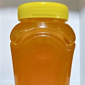 عسل خارمریم اعلاء با نتایج آزمایشگاهی عالی (عسل خار مریم) (یک کیلوئی)