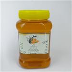 عسل چند گیاه تغذیه شده(یک کیلویی) خانه احسان کاشمر