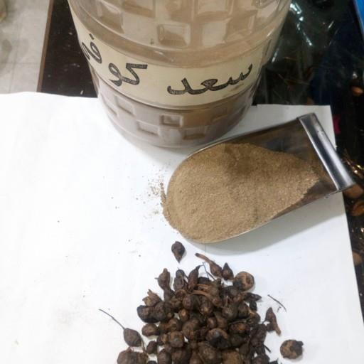 پودر سعد کوفی