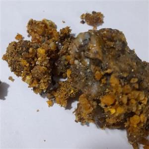 انغوزه خالص و تازه(شیره حنتیت ،صمغ آنغوزه، صمغ حلتیت، شیره انجدان)
