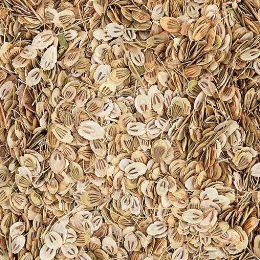 برگ گلپر فله ای