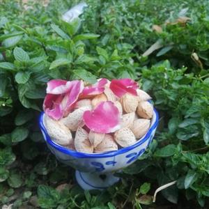 بادام پوست کاغذی(سفید) اعلاء(500گرمی)()
