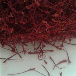 زعفران تازه و مرغوب
