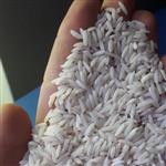 برنج طارم محلی معطر فریدونکنار درجه یک  امساله 10 کیلوگرمی با 