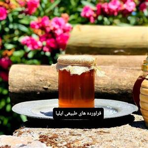عسل طبیعی خارشتر( فراورده های طبیعی ایلیا )