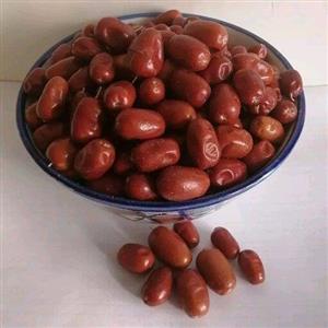 سنجد تازه و امسالی تبریز( نیم کیلوگرمی)