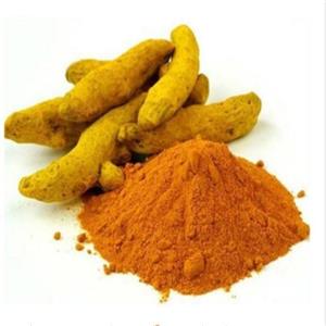 زردچوبه مرغوب طعام البرکت 
