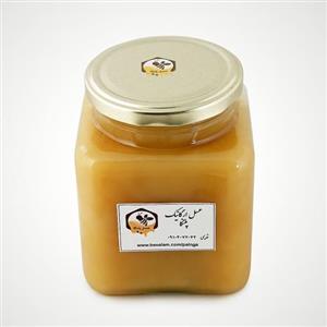 عسل ارگانیک خام رس بسته چند گیاه دیابتی  کوهستان خلخال (480گرم) ا