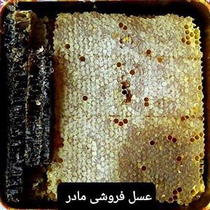 عسل طبیعی گون آویشن بابونه(مومدار)