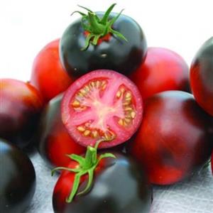 بذر گوجه فرنگی سیب نیلی آمریکایی - بسته 10 عددی