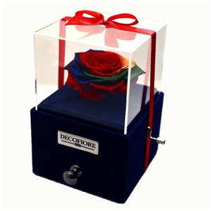 جعبه موزیکال کشودار هندلی رز جاودان دکوفیوره مدل گل ماندگار رنگارنگ