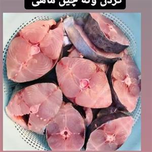 ماهی شیر سایز درشت موجود هست ، محصولات ما همگی صید روز می باشند .