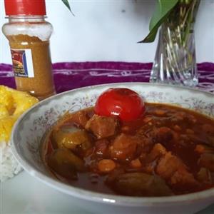 ادویه خورشتی معطر (65گرم در پت ادویه )چاشنی خاتون