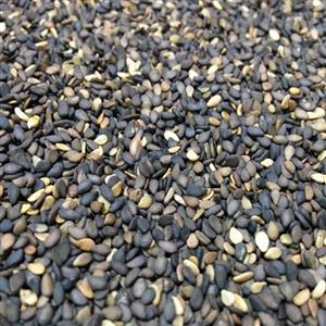 کنجد بوداده بی نمک500 گرم