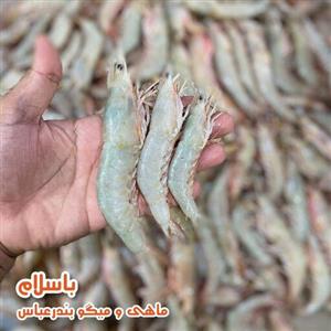 میگو پاک شده سایز متوسط ( 81 -90 ) تازه و صید روز بندرعباس (1کیلوگرم)