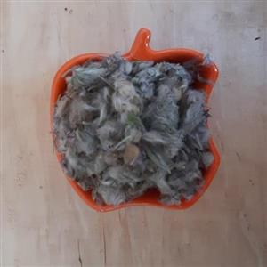 چای کوهی بومی سمیرامیس(50گرم)