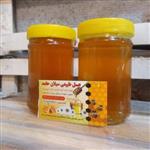 عسل وحشی‌کوهی درمانی و دیابتی‌ نیم کیلویی سبلان(مستقیم از زنبوردار)