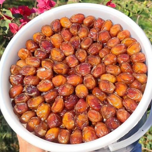خرمای خاصویی