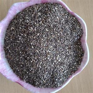 دانه چیا (Salvia sp) 100 گرمی عطاری دیسکورید 