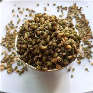 جوانه ماش (خشک شده و یا بصورت پودر) 200گرمی