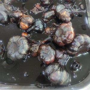 سیر ترشی سه ساله در جه یک