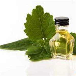 عطر نعنا قمصر کاشان (شیشه های 25 گرمی)