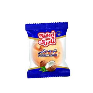 کلوچه نارگیلی نادری - 60 گرم بسته 40 عددی