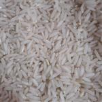برنج فریدونکنار کشت دوم