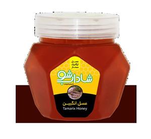عسل طبیعی دارویی گون انگبین زاگرس یک کیلوگرم 