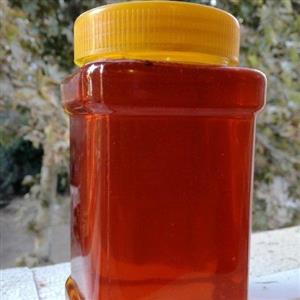 عسل زول دیابتی با ساکارز 1 شهد 1کیلویی(عسل  بهاره سبلان سرعین)