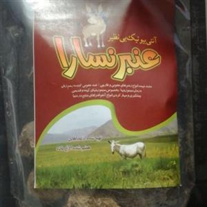 عنبر نسا ( عنبرنسارا )
