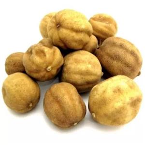 اسلایس لیمو ترش 500 گرمی