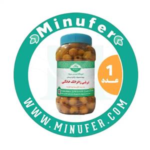 ترشی زالزالک خانگی ۱ کیلویی