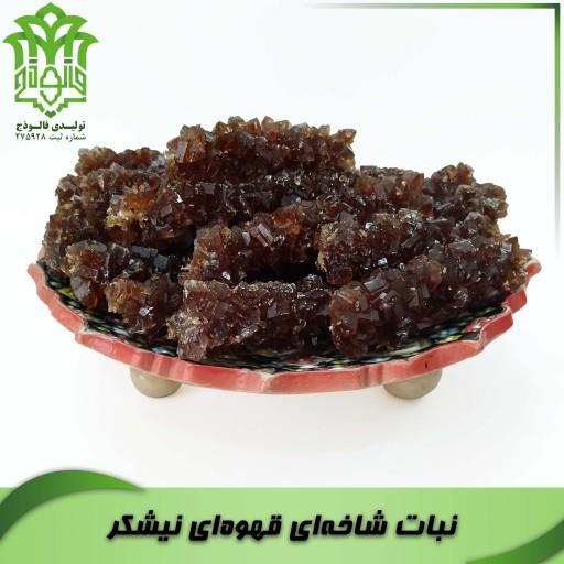 نبات نیشکر