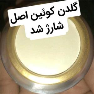 کرم گلدن کوئین کیفیت درجه 1 اولین 