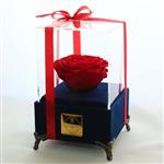 جعبه موزیکال کوکی گل ماندگار دکوفیوره مدل رز جاودان ملودی عاشقانه