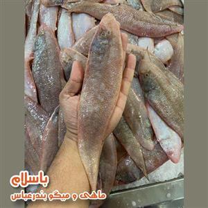 ماهی زبان پاک شده مخصوص سوخاری و سرخ کردنی تازه و صید روز (1 کیلوگرم)
