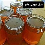 عسل بابونه4کیلوگرم(عسل  مادر)