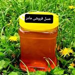 عسل طبیعی قاصدک(عسل  مادر )