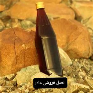 عسل وحشی سمر(آکسیا)750گرم