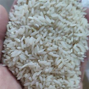 برنج فریدونکنار (سرلاشه کشت دوم امراللهی فوق معطر)، ده کیلویی و با 