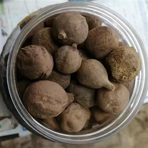 هلیله کابلی 75 گرم نام  دیگر بلیله