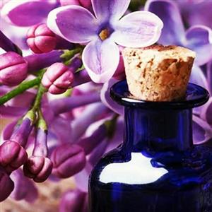 عطر گل یاس رازقی حجم 10 میلی لیتر ، غنچه اورجینال 